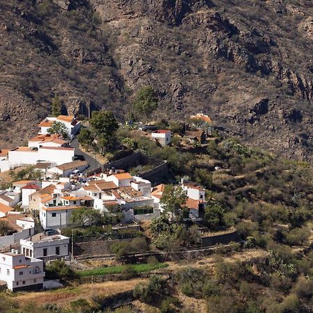 クルス・デ・テヘーダCasa Isabela With Roque Nublo Viewアパートメント エクステリア 写真