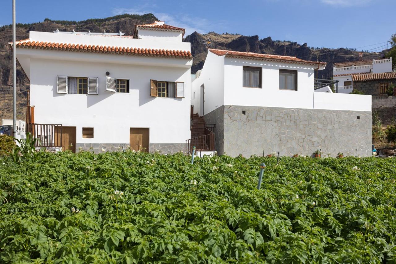 クルス・デ・テヘーダCasa Isabela With Roque Nublo Viewアパートメント エクステリア 写真