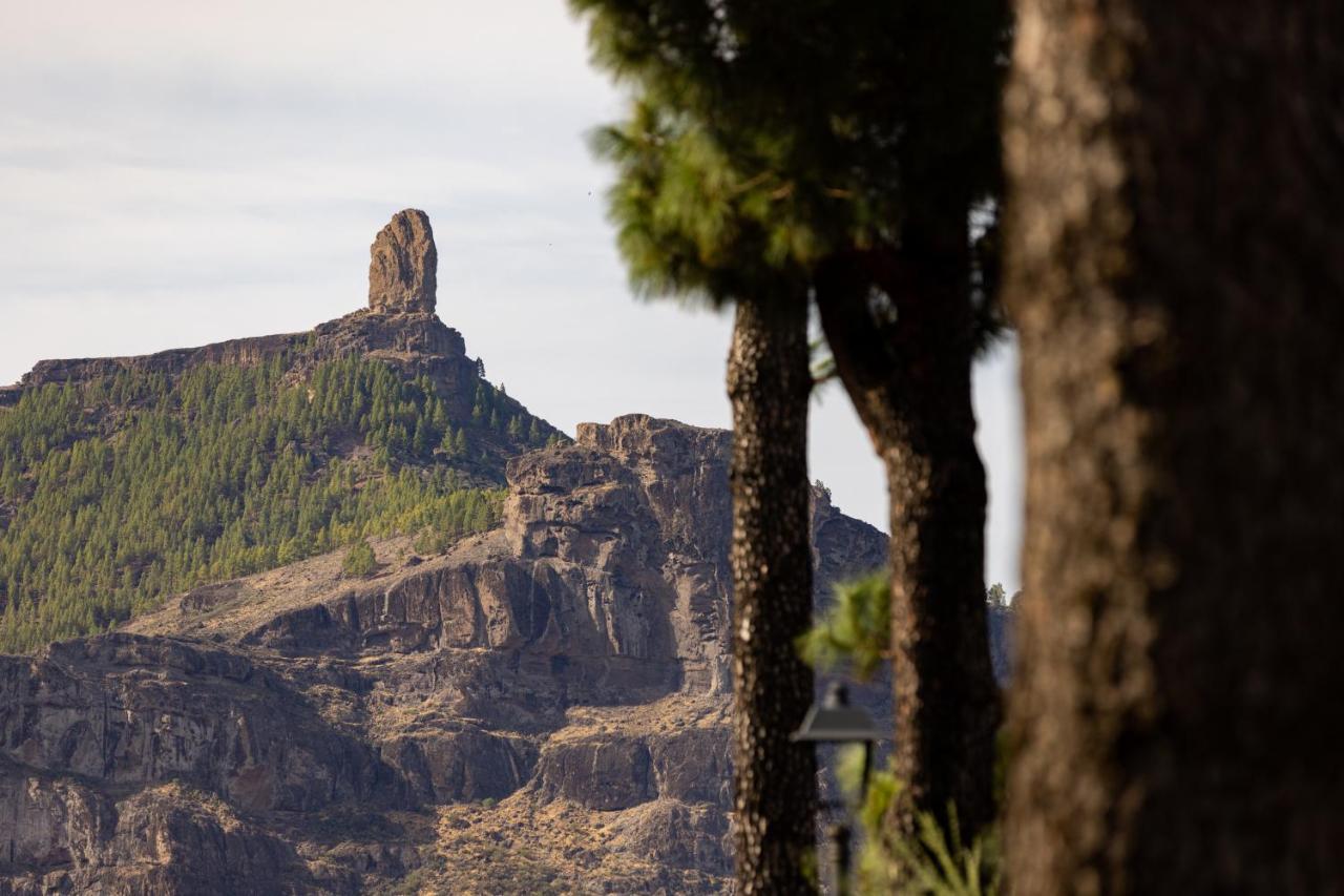 クルス・デ・テヘーダCasa Isabela With Roque Nublo Viewアパートメント エクステリア 写真